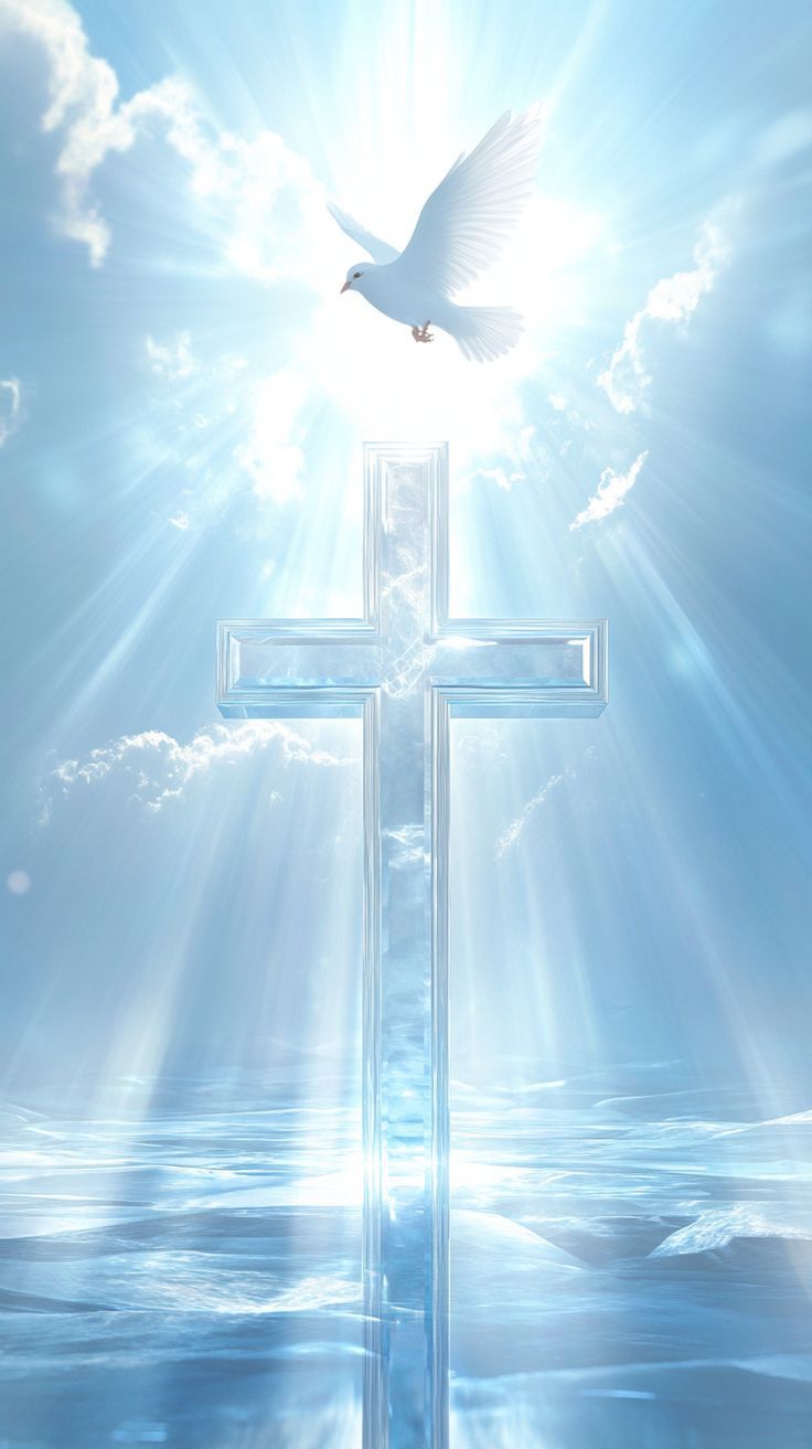 You Are Sanctified, You Are&nbsp;Justified